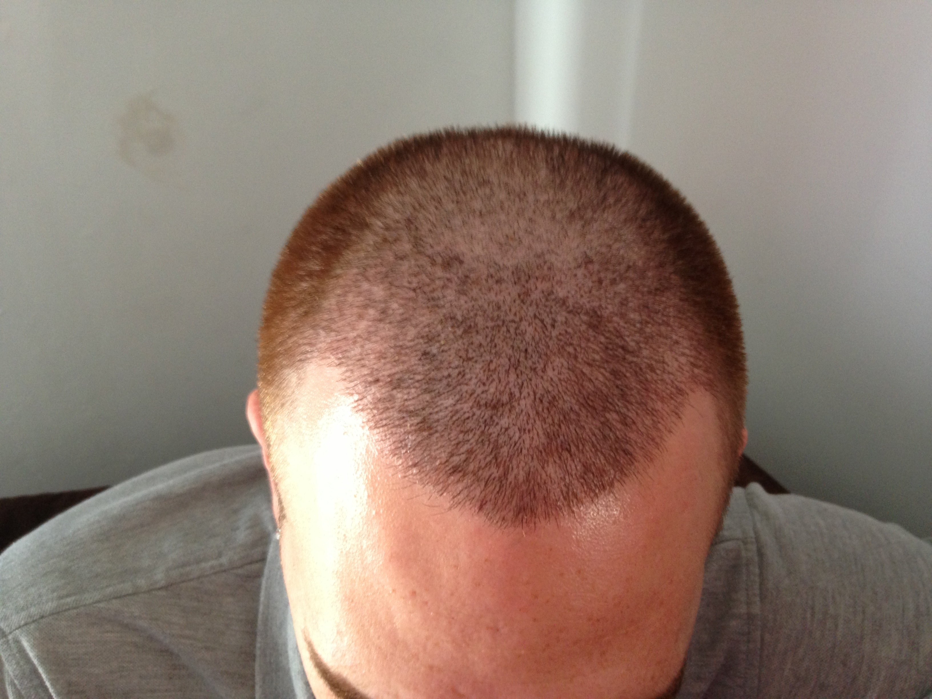 index.php/fa/17562/0/