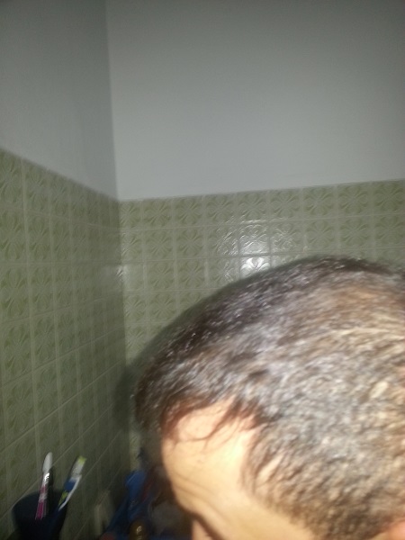 index.php/fa/17654/0/