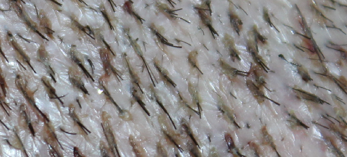 index.php/fa/17871/0/