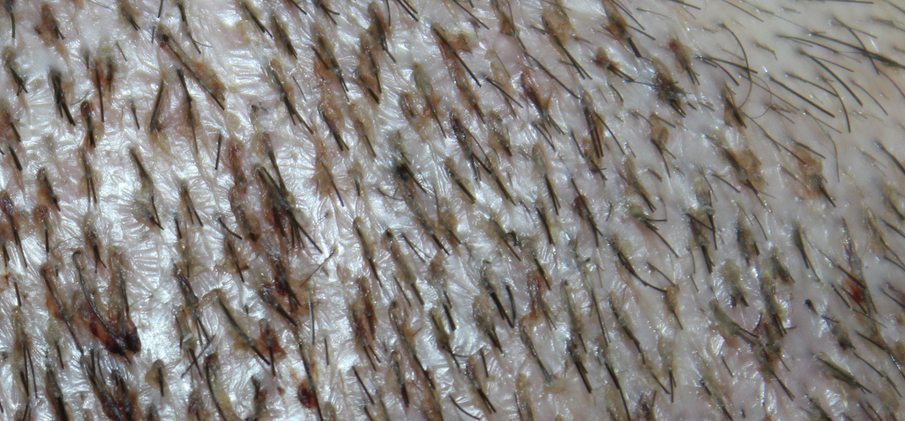 index.php/fa/17905/0/