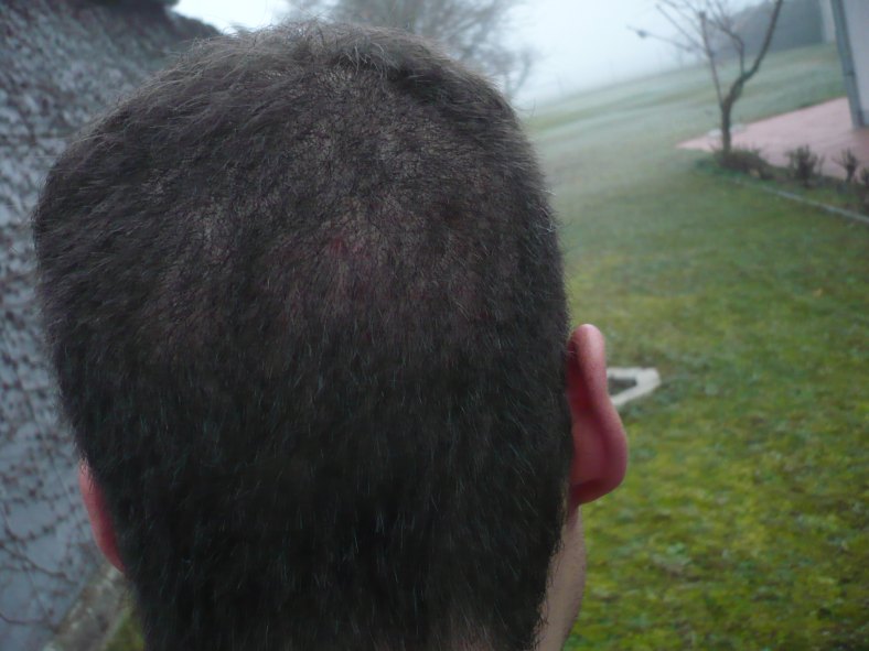 index.php/fa/18254/0/