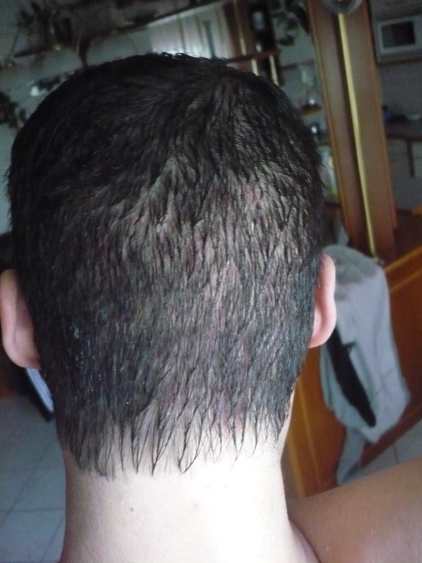 index.php/fa/18255/0/