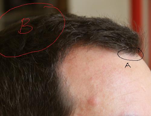 index.php/fa/1857/0/