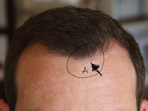 index.php/fa/1858/0/