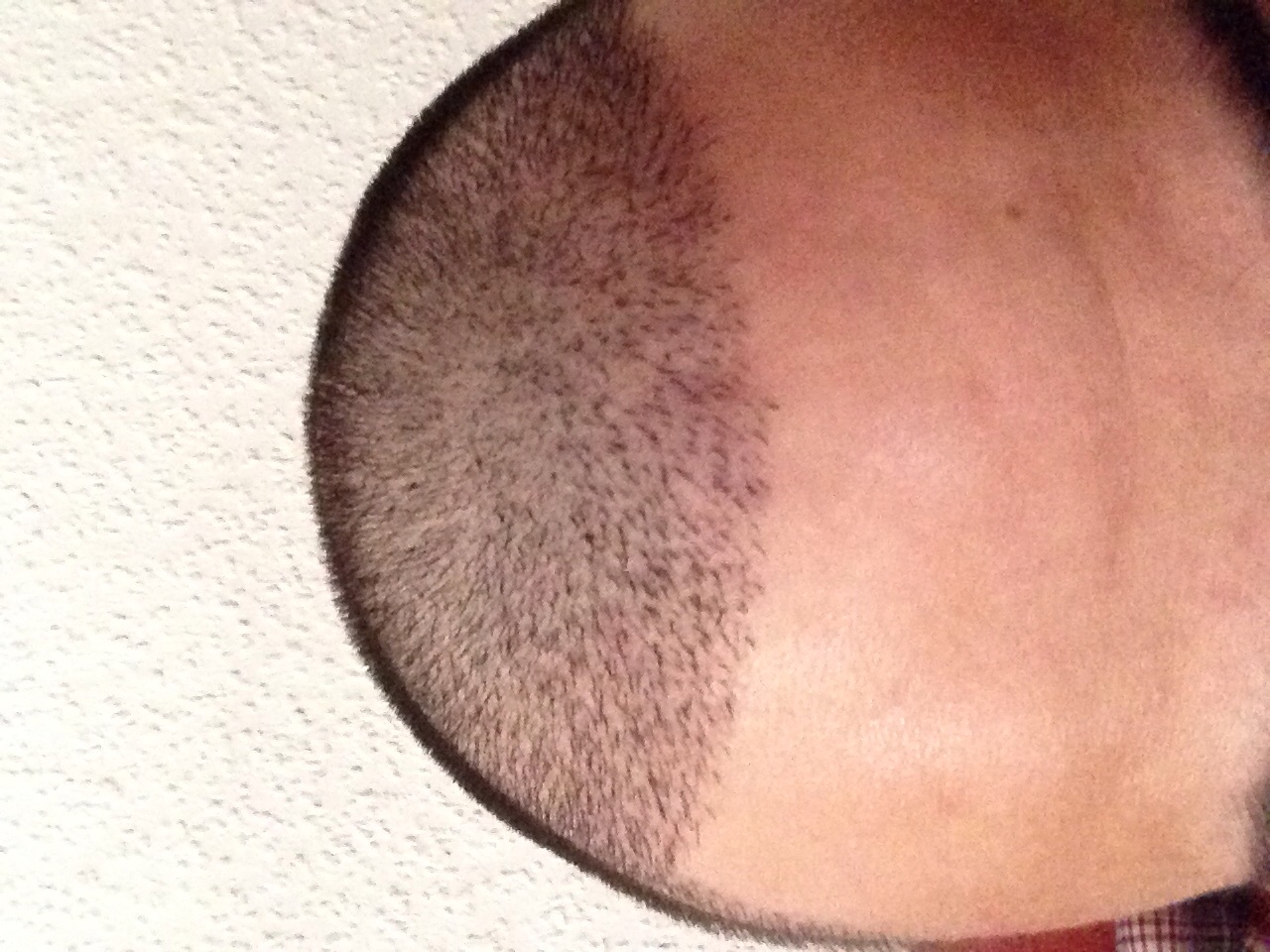 index.php/fa/18730/0/