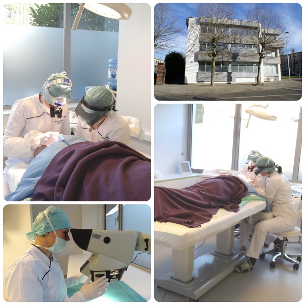 index.php/fa/18825/0/