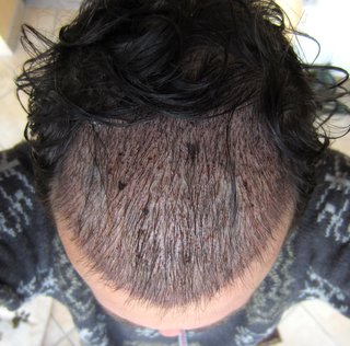 index.php/fa/18826/0/