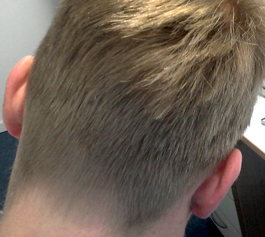 index.php/fa/18888/0/