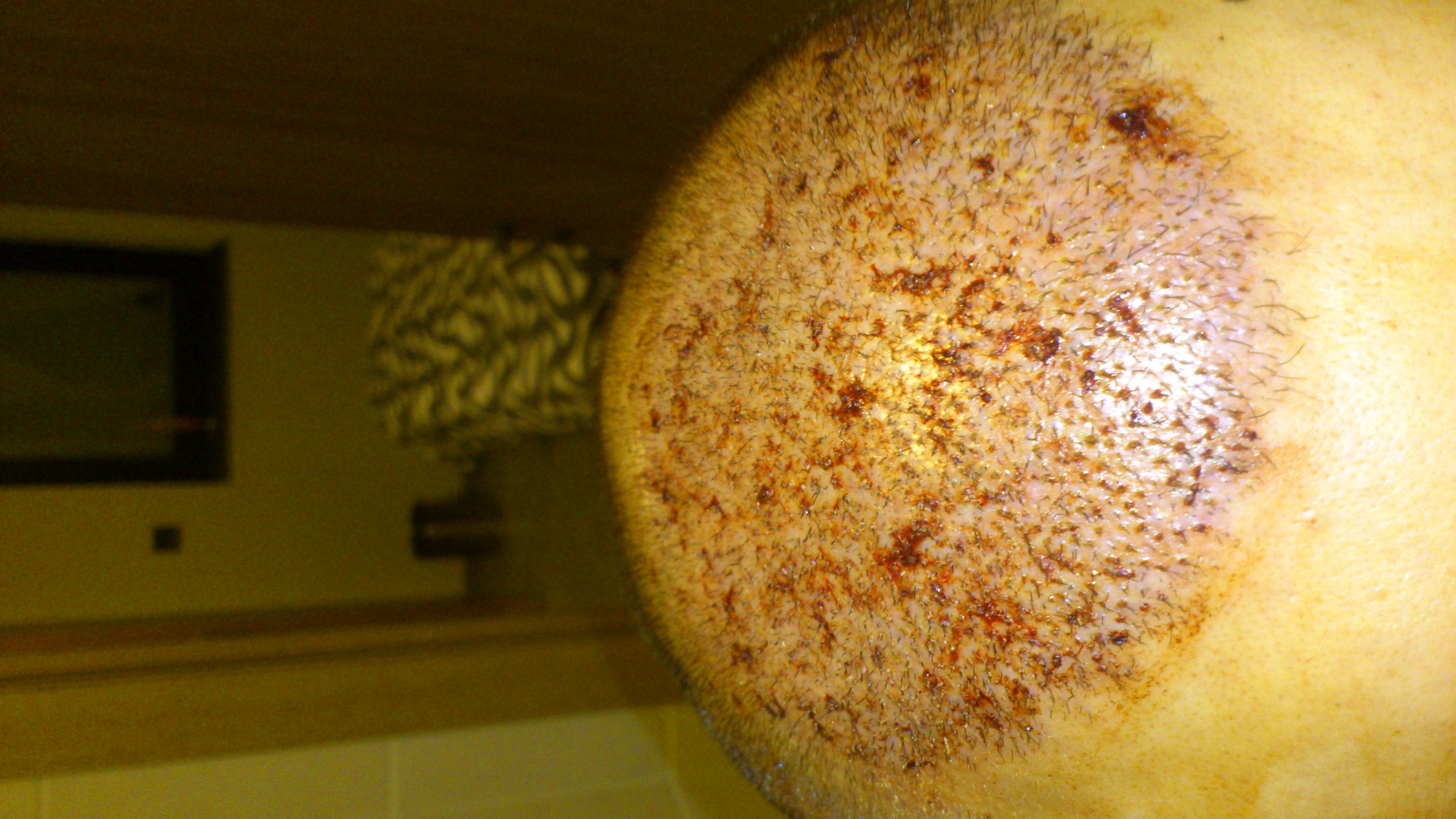 index.php/fa/18907/0/