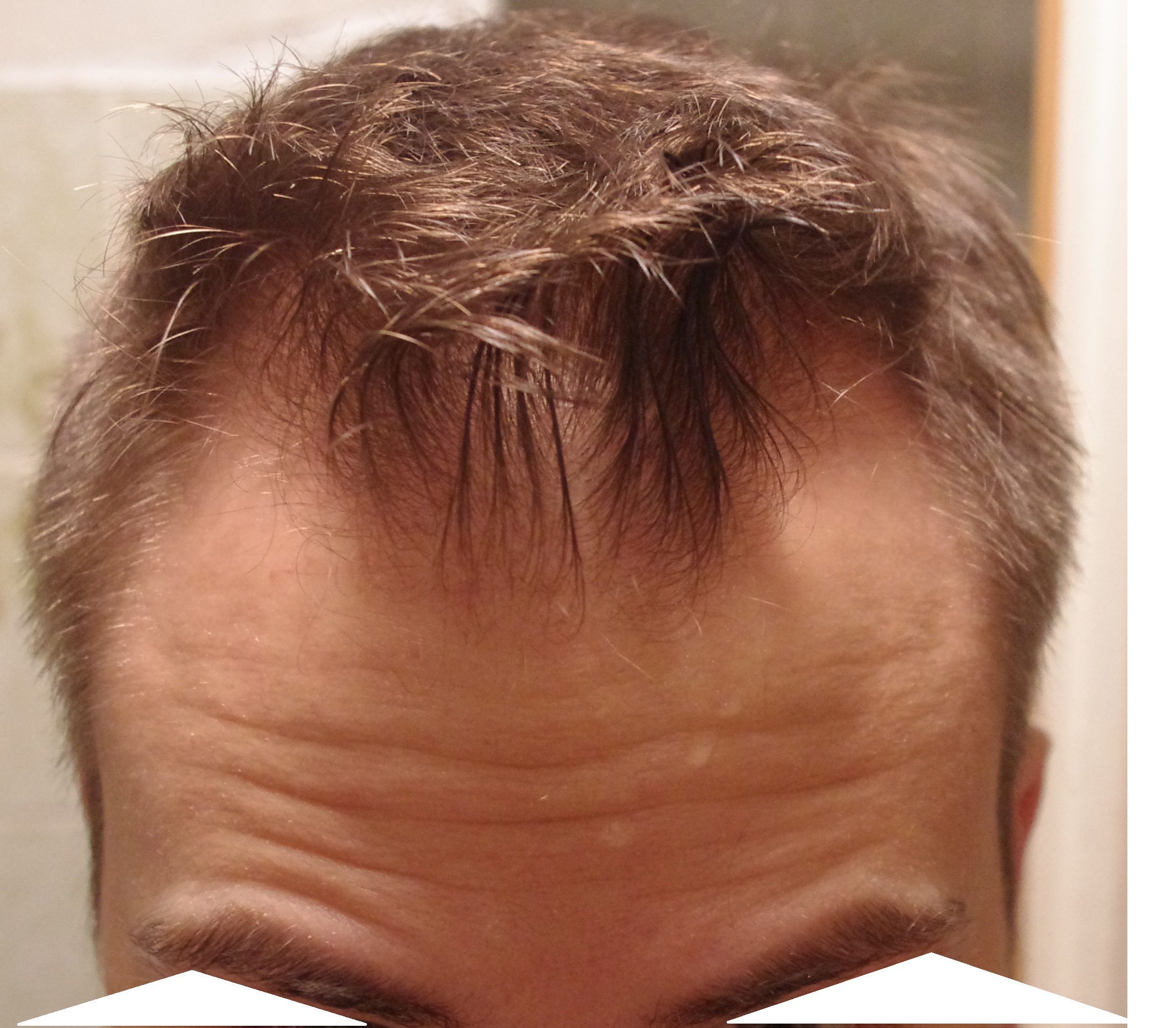 index.php/fa/19067/0/