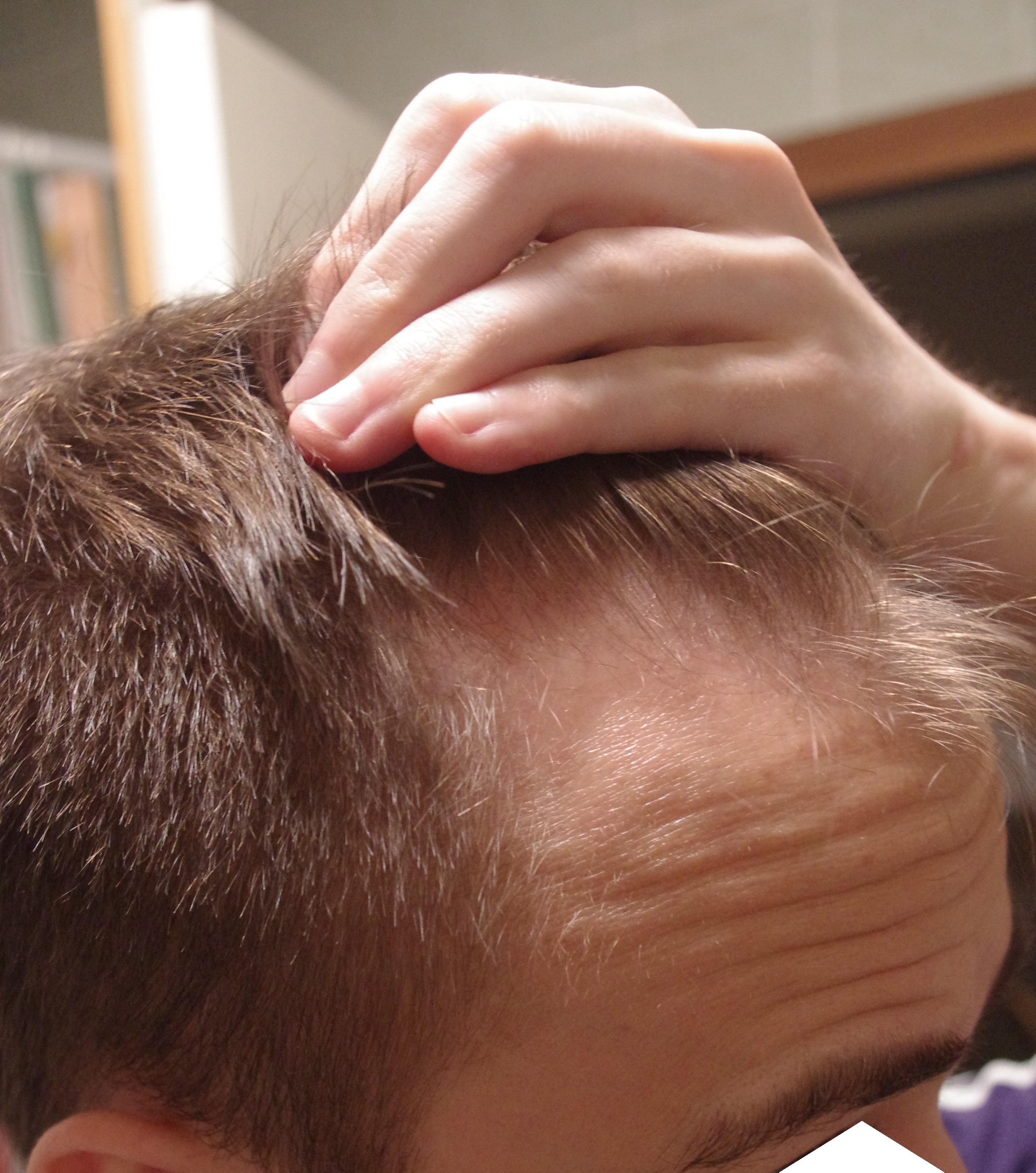 index.php/fa/19070/0/