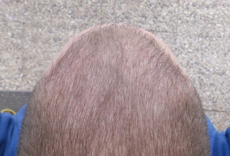 index.php/fa/19358/0/