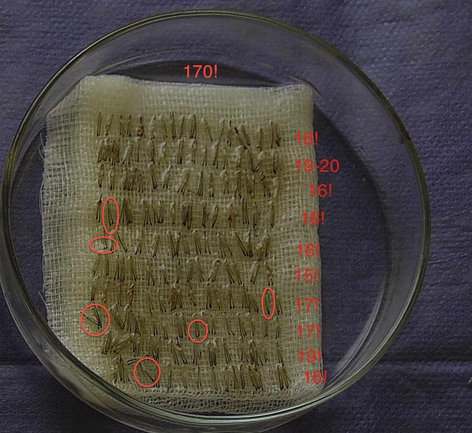 index.php/fa/19362/0/