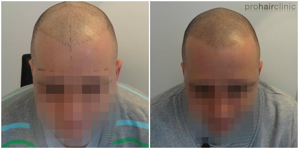 index.php/fa/19441/0/