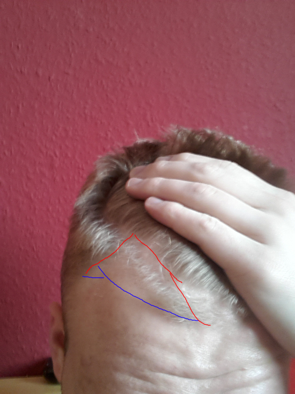 index.php/fa/19650/0/