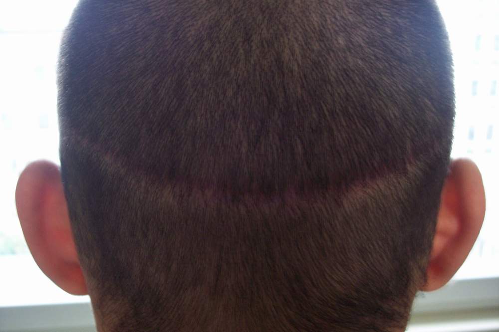 index.php/fa/1971/0/