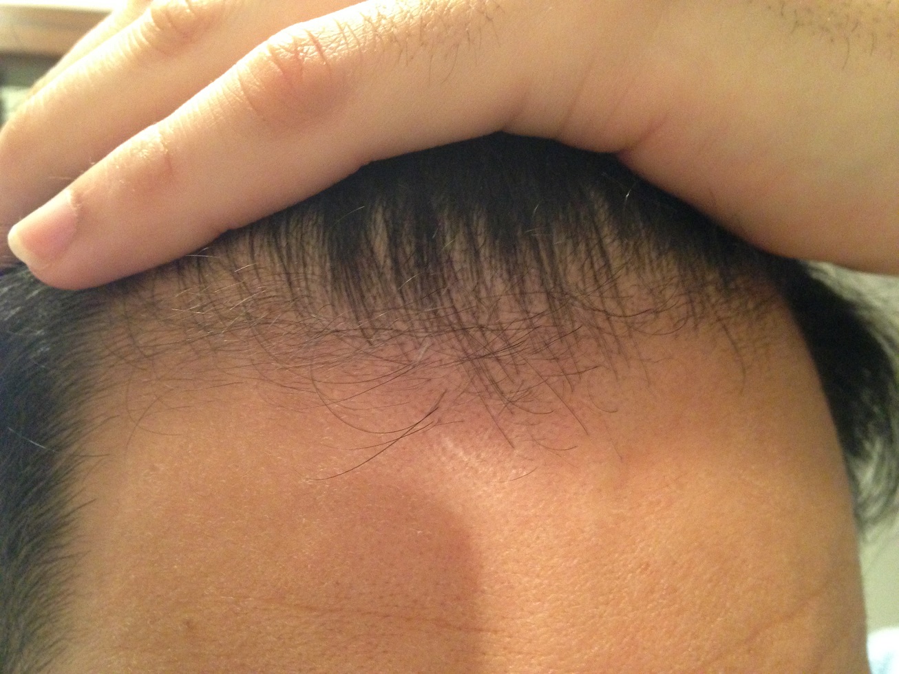 index.php/fa/19758/0/