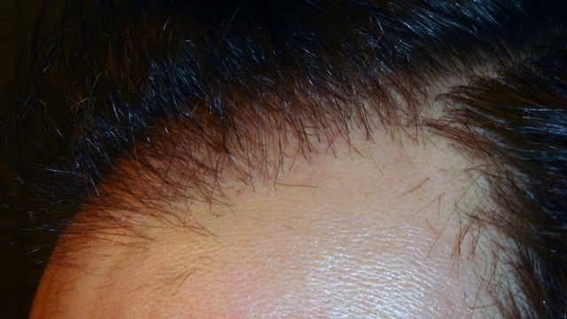 index.php/fa/1988/0/