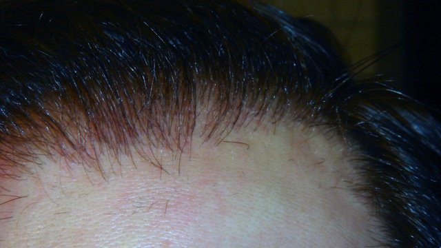 index.php/fa/1990/0/