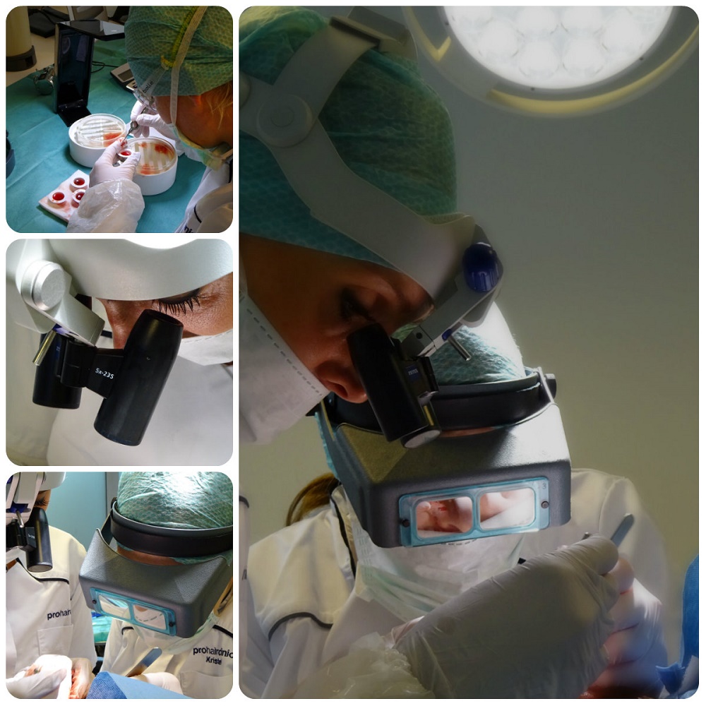 index.php/fa/20232/0/