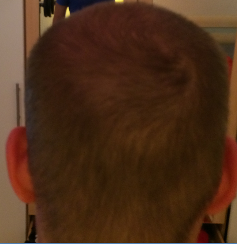 index.php/fa/20382/0/