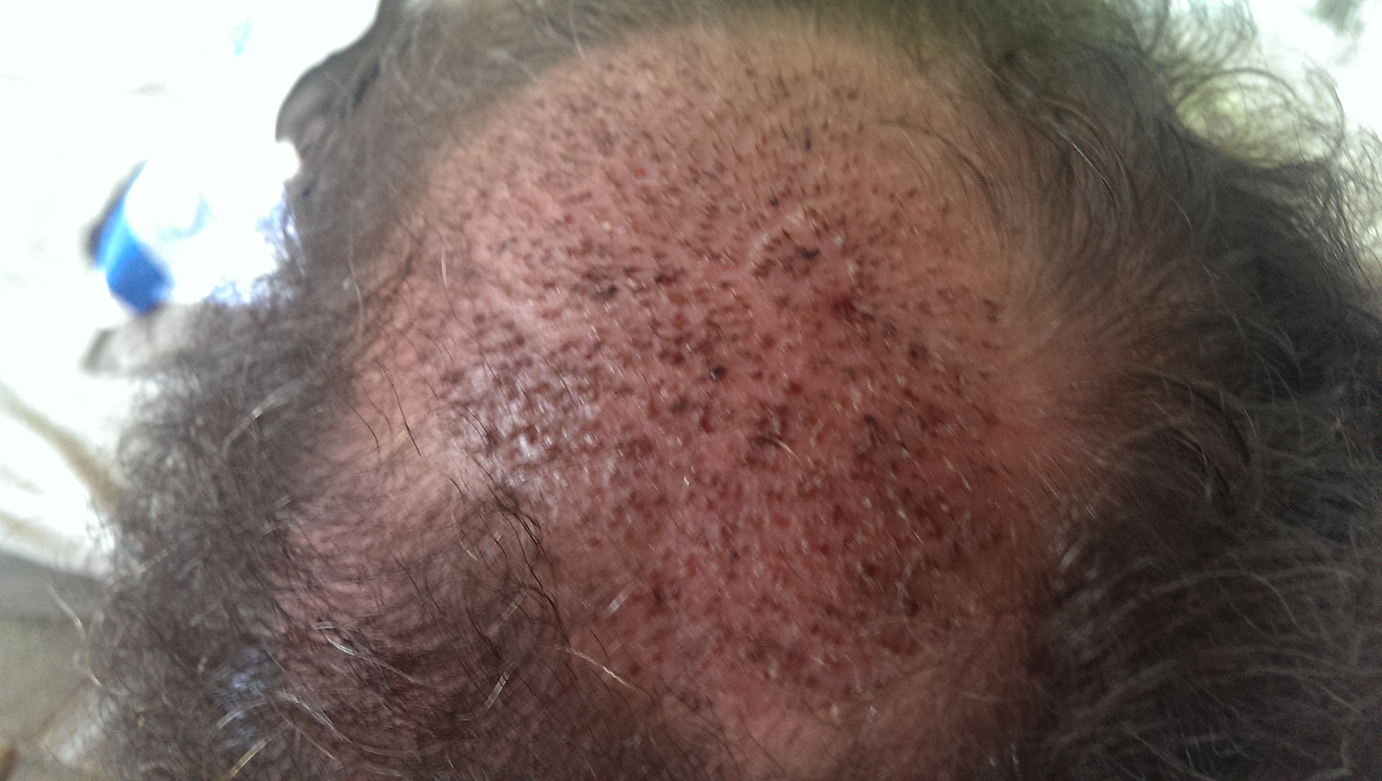 index.php/fa/20708/0/