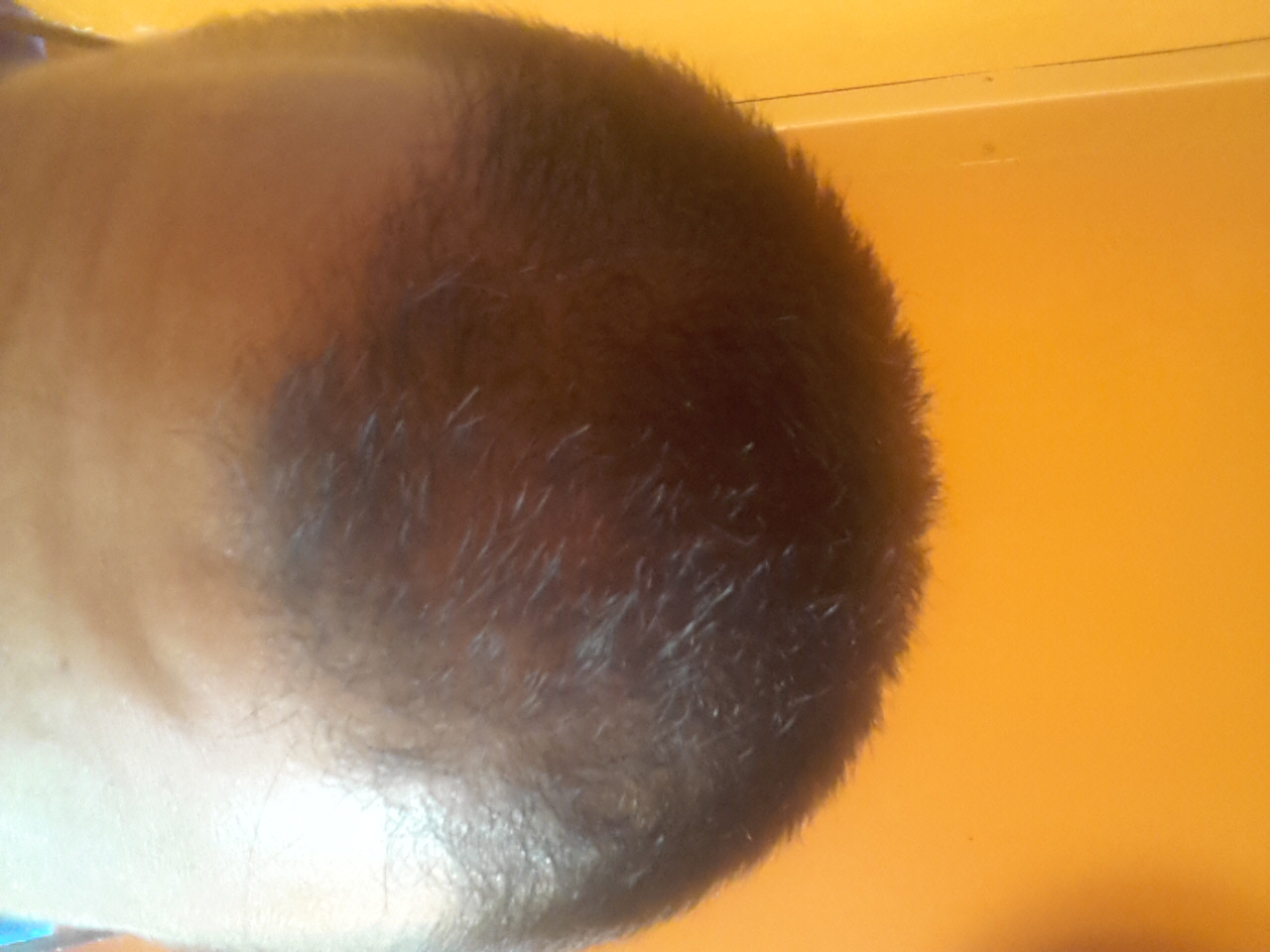 index.php/fa/21042/0/