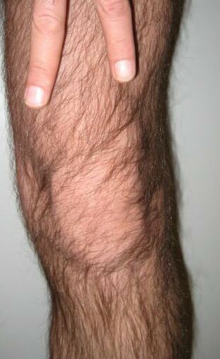 index.php/fa/2113/0/