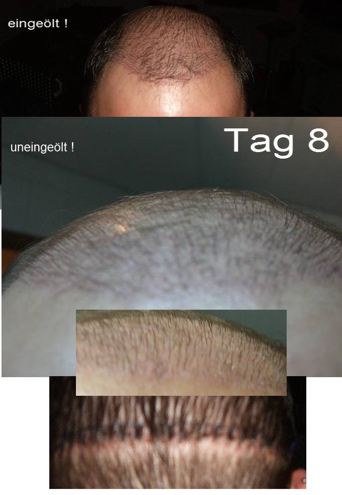 index.php/fa/2116/0/