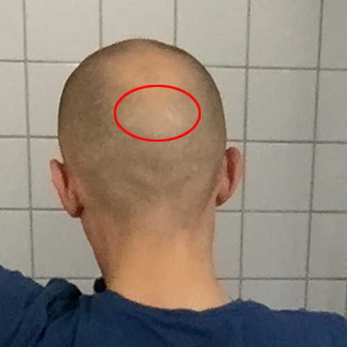 index.php/fa/22178/0/