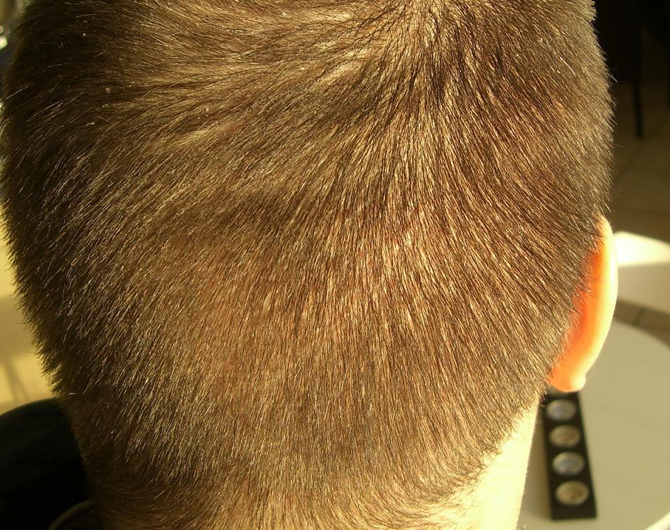 index.php/fa/2251/0/