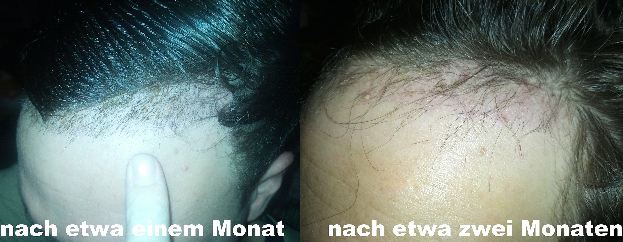 index.php/fa/23105/0/