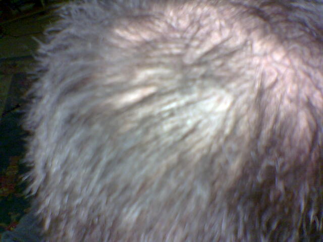 index.php/fa/2326/0/