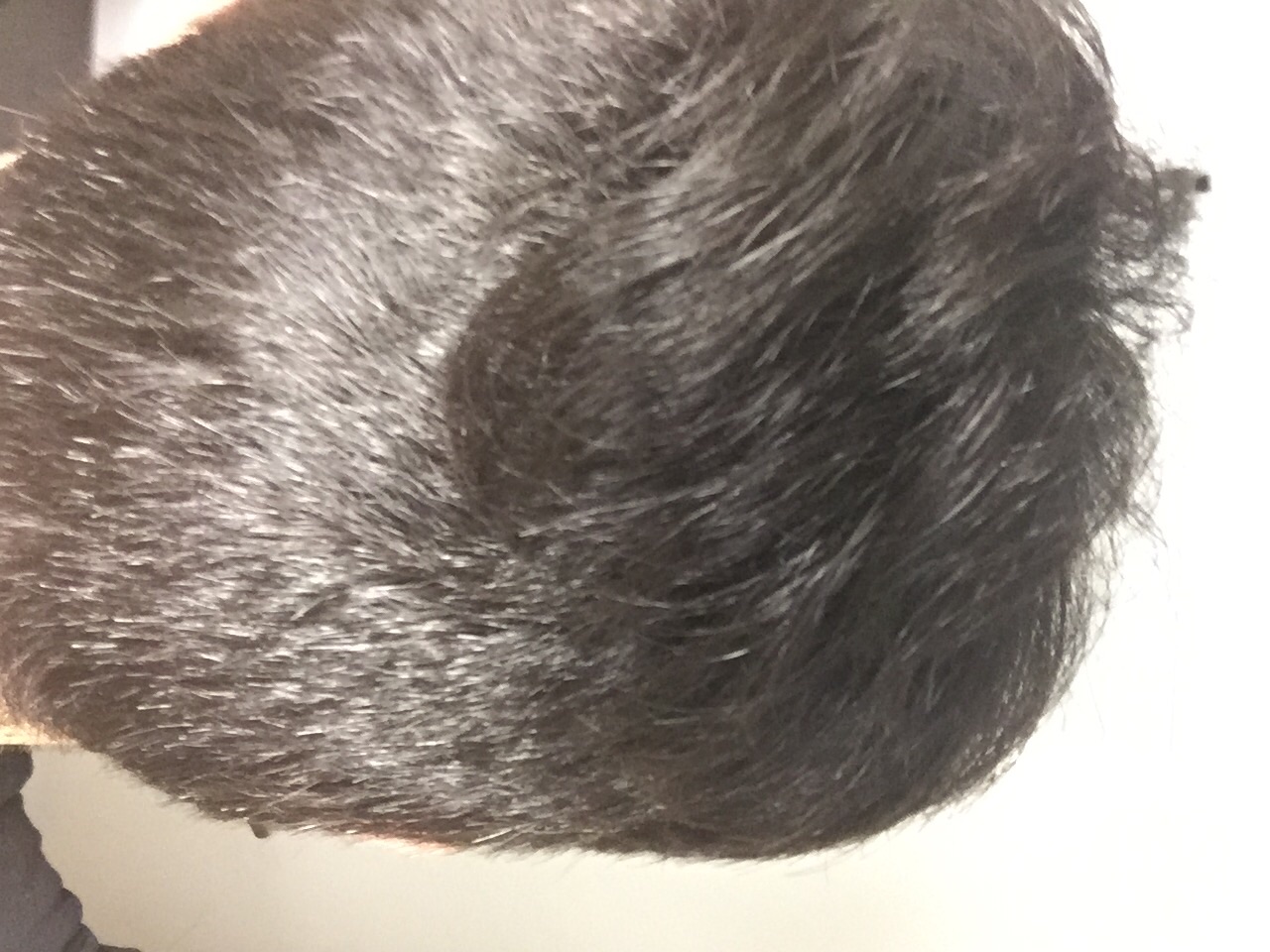 index.php/fa/23394/0/