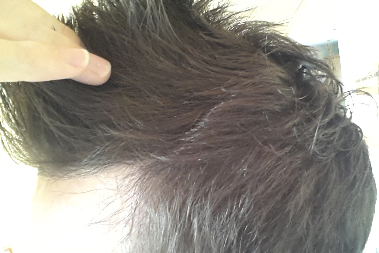 index.php/fa/23463/0/