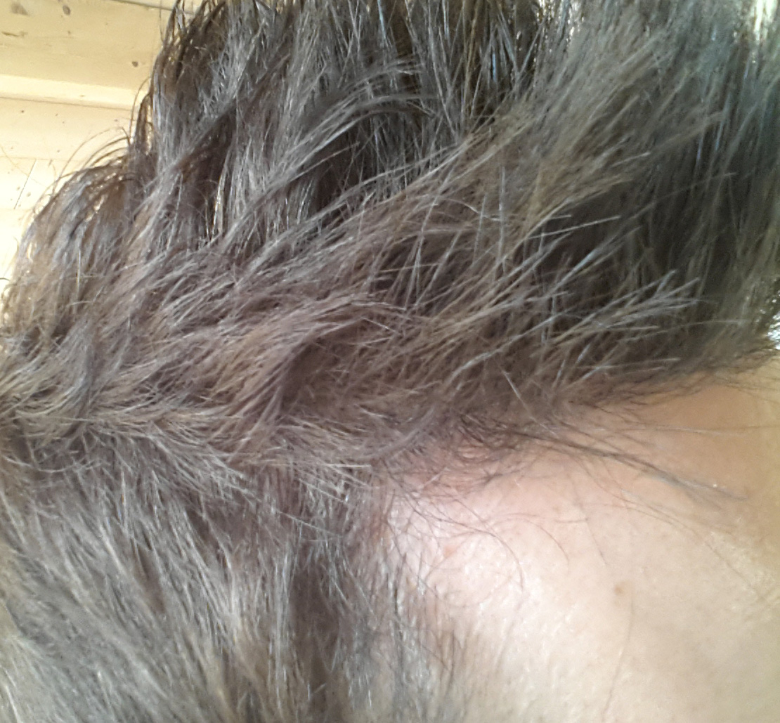 index.php/fa/23464/0/