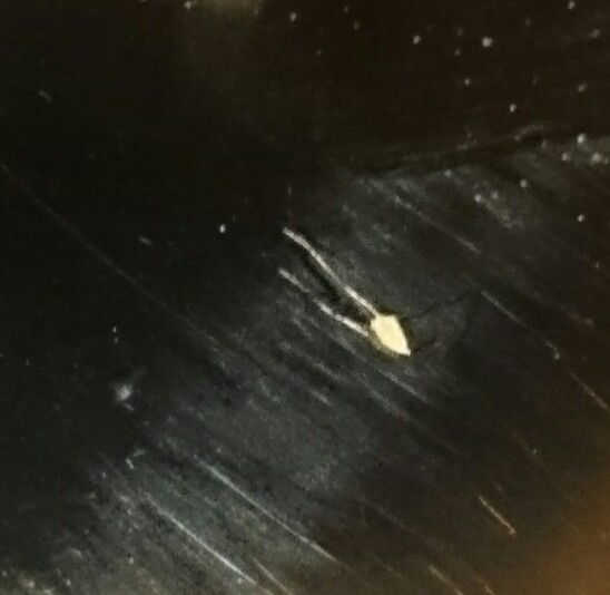 index.php/fa/23876/0/