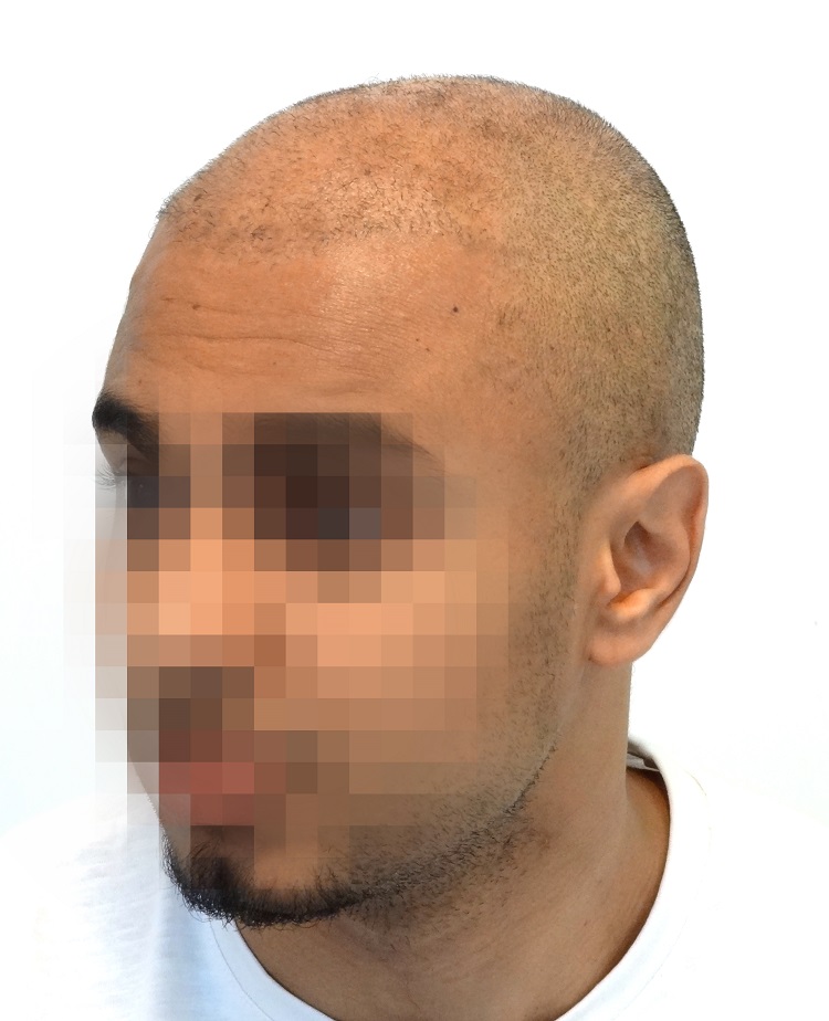 index.php/fa/24330/0/