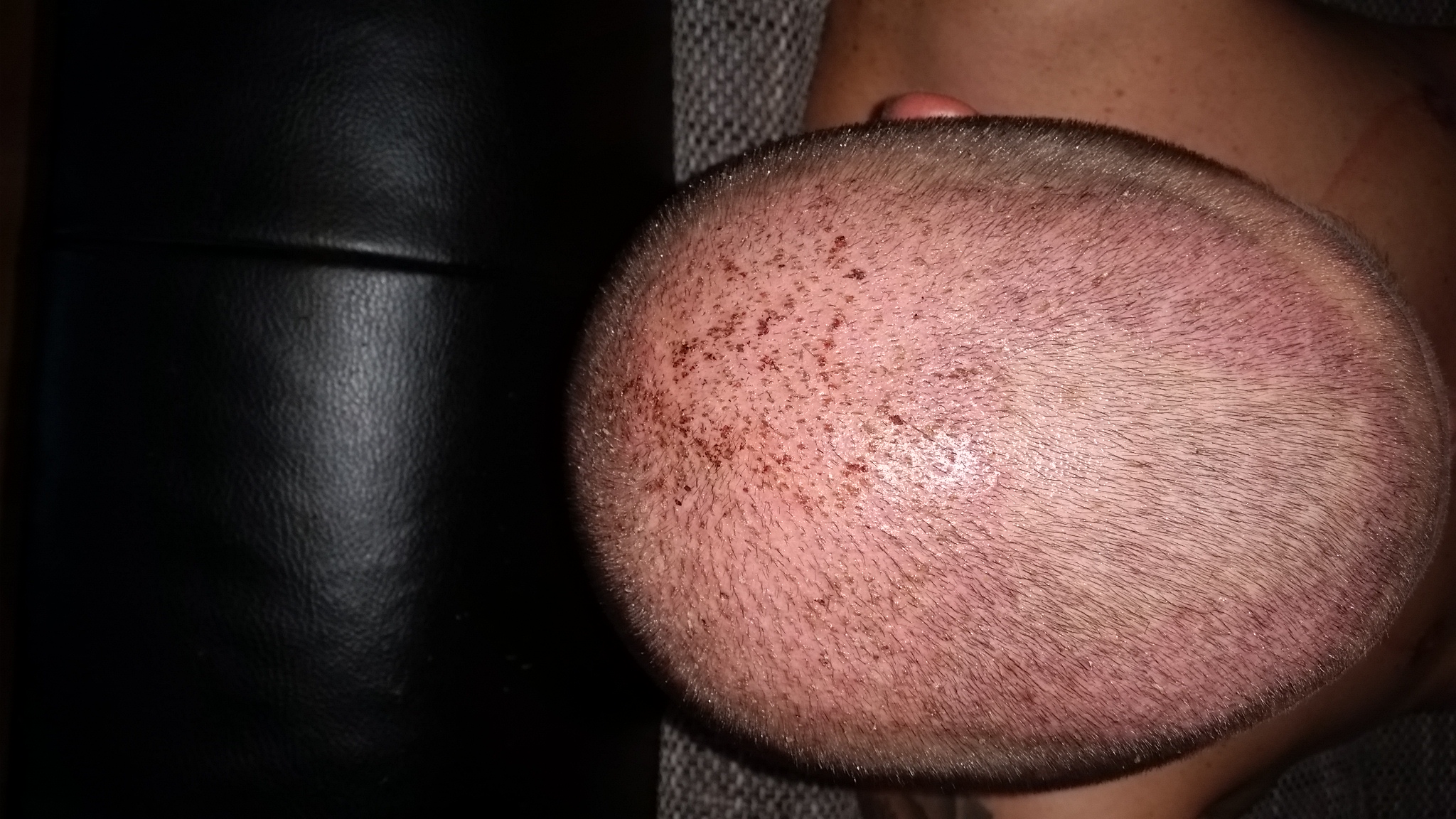 index.php/fa/24430/0/