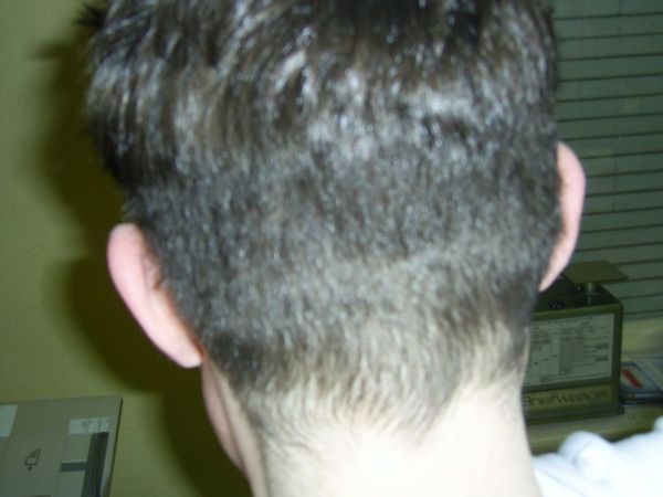 index.php/fa/2450/0/