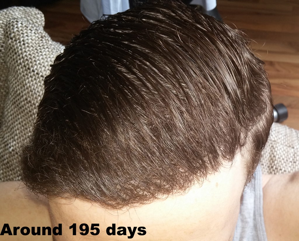 index.php/fa/24740/0/