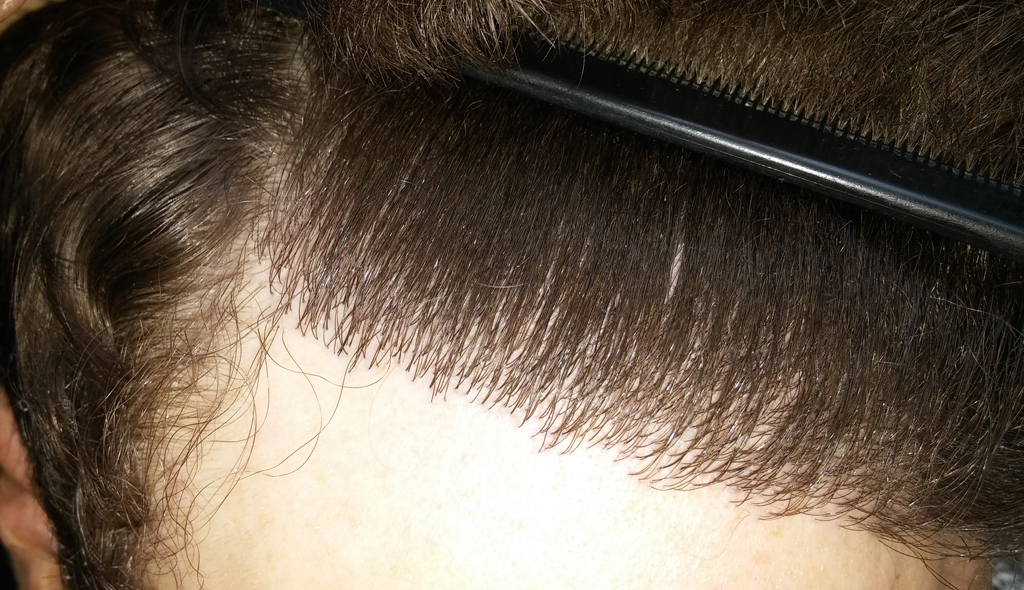 index.php/fa/24742/0/