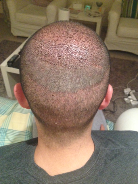 index.php/fa/24888/0/