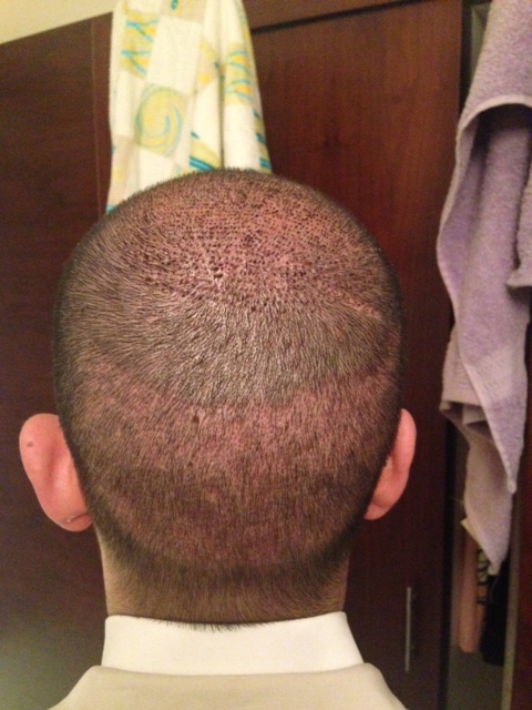 index.php/fa/24893/0/