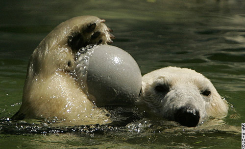 index.php/fa/2555/0/