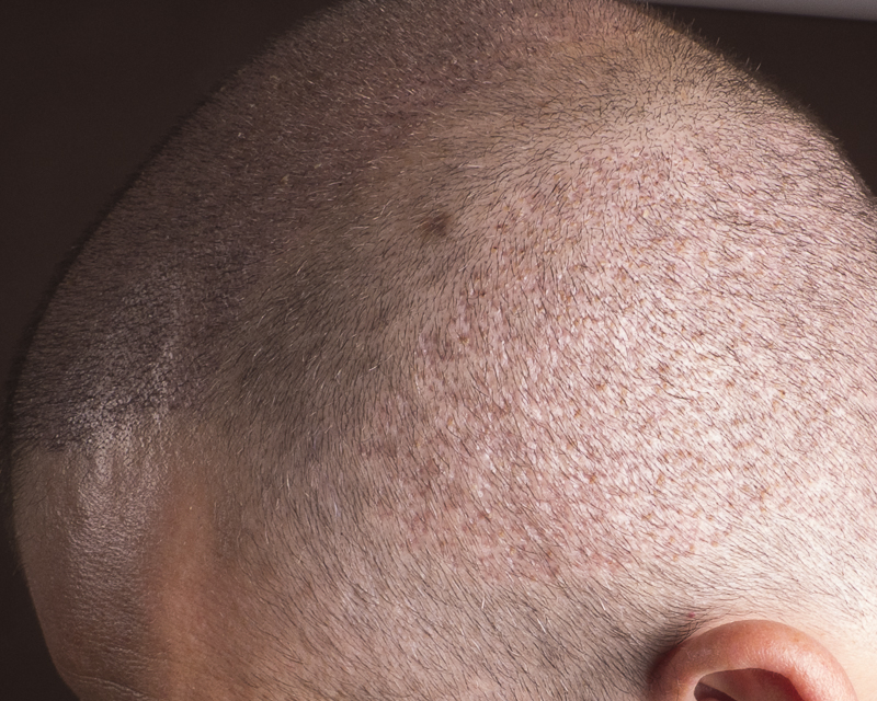 index.php/fa/26006/0/