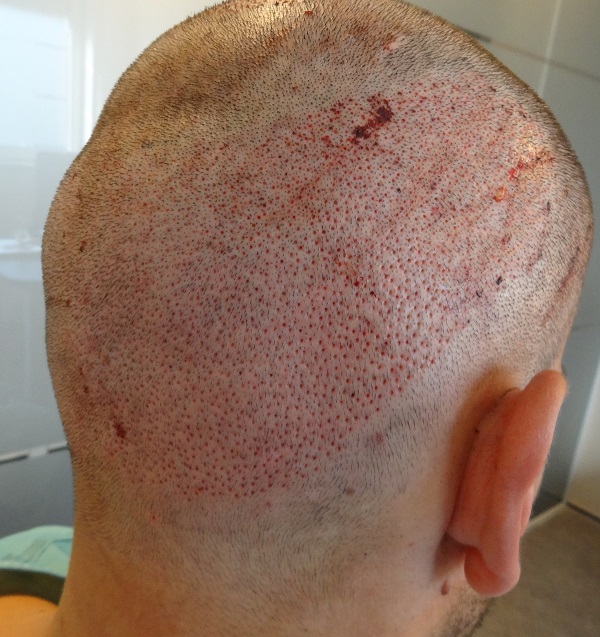 index.php/fa/26624/0/