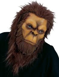 index.php/fa/27615/0/