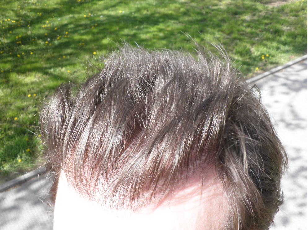 index.php/fa/28561/0/