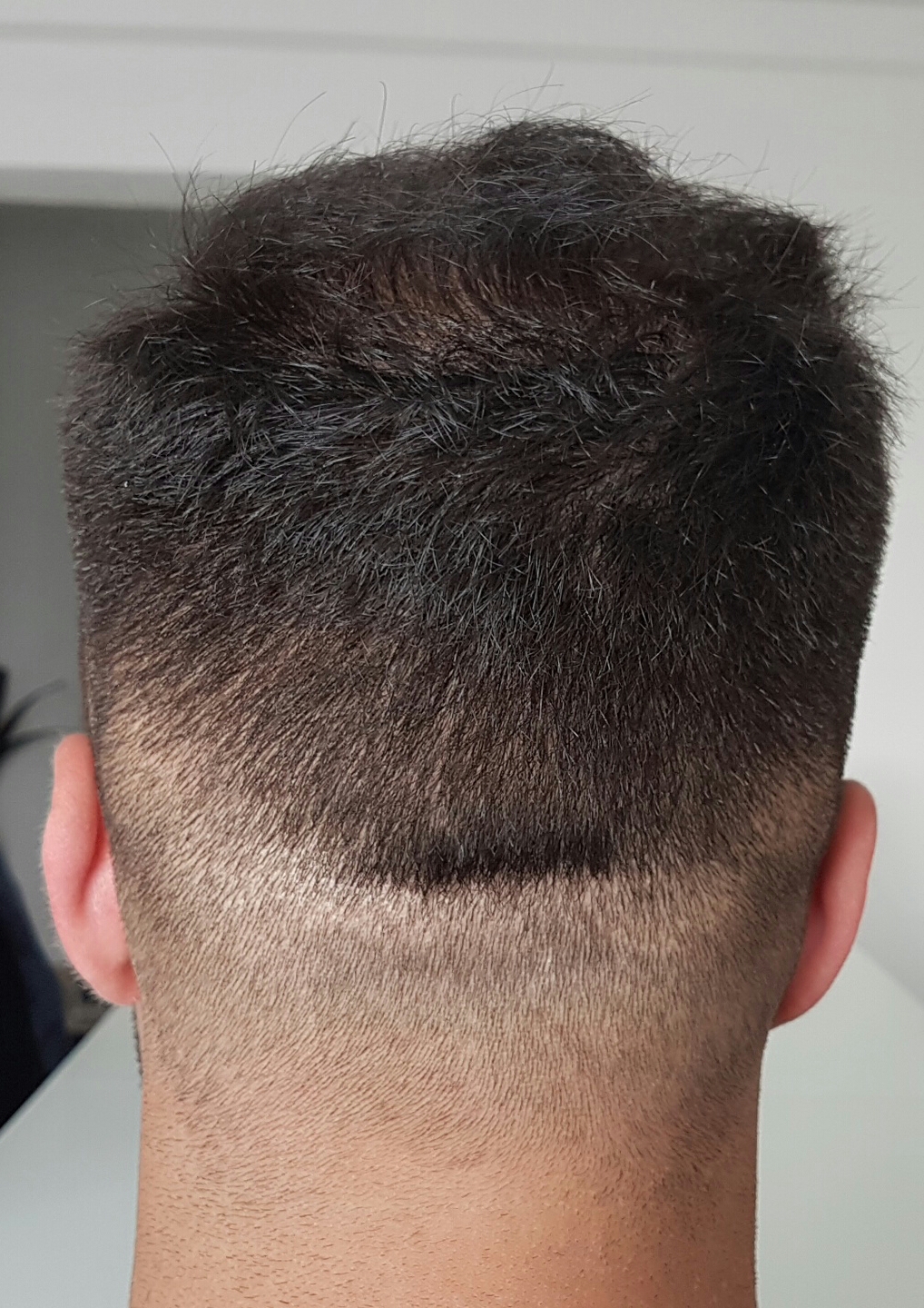 index.php/fa/29994/0/